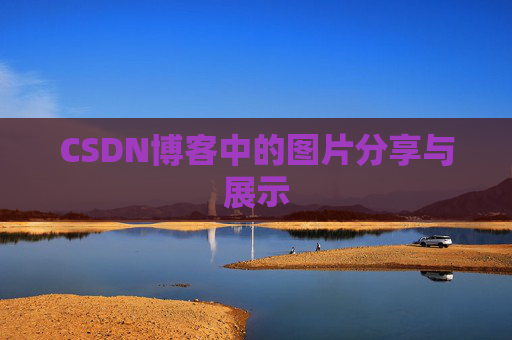 CSDN博客中的图片分享与展示